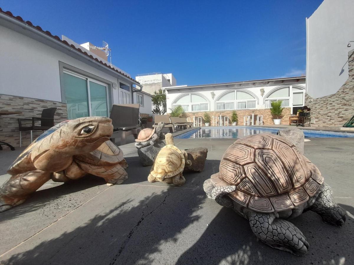 Tenerife Little Village S Сан-Исидро Экстерьер фото